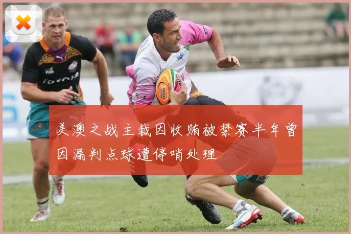 美澳之战主裁因收贿被禁赛半年曾因漏判点球遭停哨处理